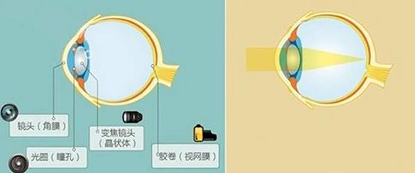 怎么佩戴老花鏡？驗光 品牌 質量 保養(yǎng)一個都不能少