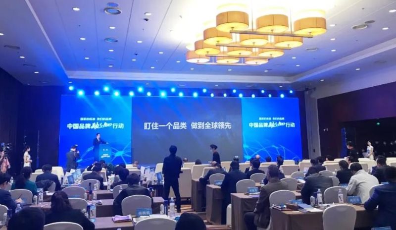 定了！美麗島進了國家隊，新華社專訪