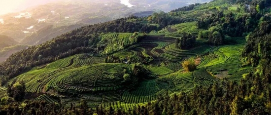 美麗島多焦鏡：這個(gè)明凈新春，以時(shí)間為軸，扶搖直上